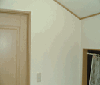 �n�E�X���̃N���X���G�}�R�[�e�B���O